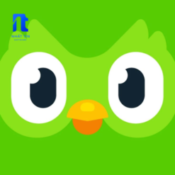 Tài Khoản Duolingo Super Chính Hãng
