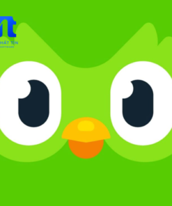 Tài Khoản Duolingo Super Chính Hãng